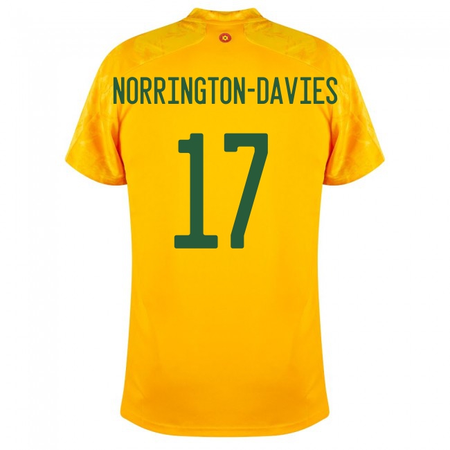 Deti Waleské Národné Futbalové Mužstvo Rhys Norrington-davies #17 Vonkajší žltá Dresy 2021 Košele Dres