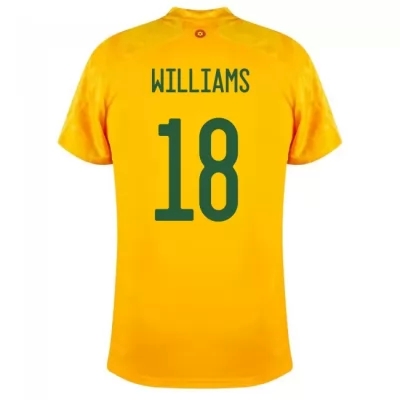 Deti Waleské Národné Futbalové Mužstvo Jonathan Williams #18 Vonkajší žltá Dresy 2021 Košele Dres