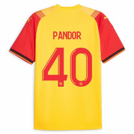 Kandiny Muži Yannick Pandor #40 Žltá Dresy Hazai Csapatmez 2023/24 Triĭká